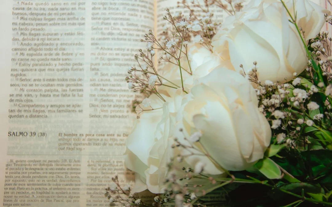 Significado de la Rosa blanca: espiritual, amoroso y puro